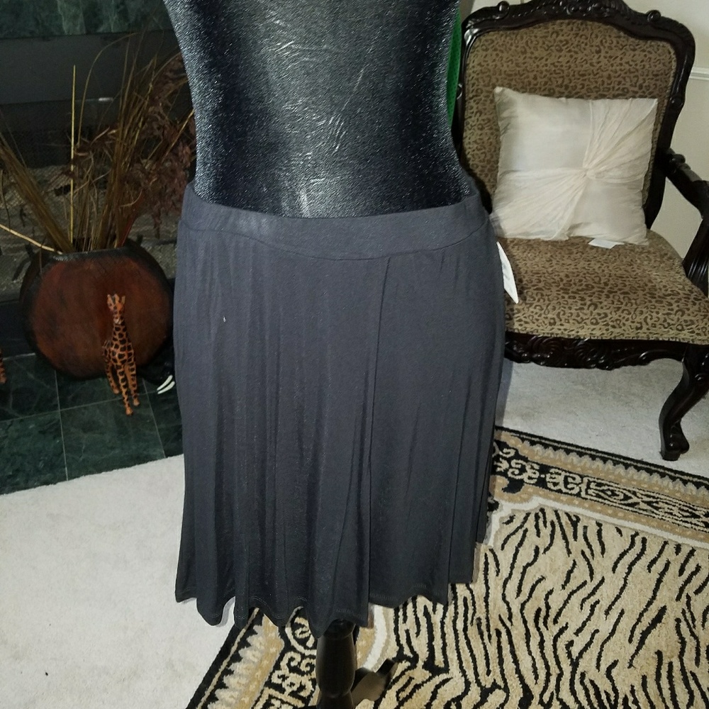 NWT! Skater Knit Skirt